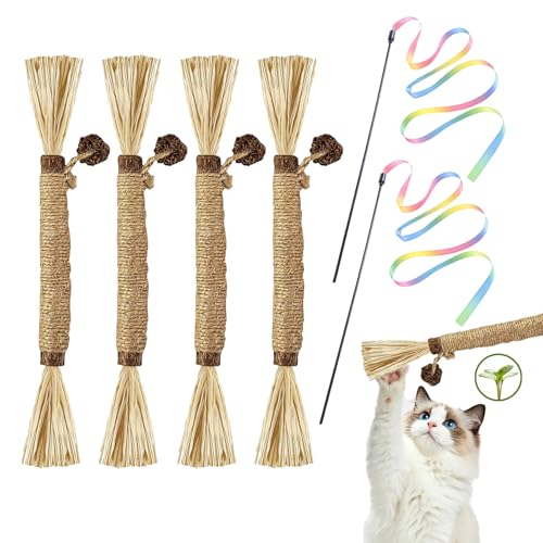 PDKKFF 4 Stück Katzenminze Sticks und 2 Katze Zauberstab, Matatabi Stick Katze, Katzen Kauspielzeuge, Katzenspielzeug für Spielspaß, Zahnpflege & Gegen Mundgeruch