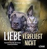  Liebe verfliegt nicht: Tierische Freunde, die immer zusammenhalten