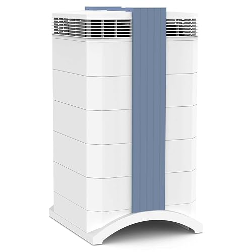 IQAir GC MultiGas XE Air Purifier (WiFi)