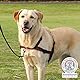 TRIXIE, Lead’n’Walk Soft Erziehungsgeschirr schwarz S-M, 13055
