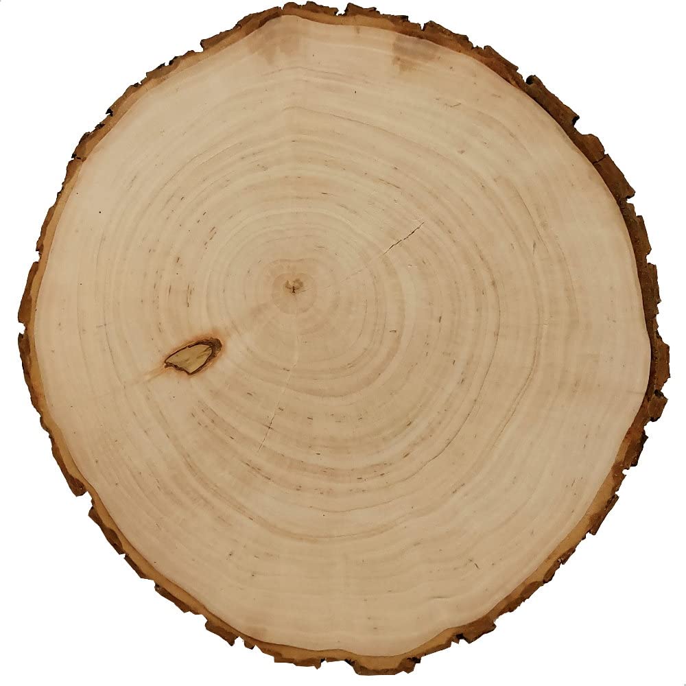 Baumscheibe 23cm mit Gravur (Namen) personalisierte Holz-Scheibe, Geschenke zur Hochzeit Vermählung Geburtstagsgeschenke, Hochzeitsgeschenke für Paare, Baum MotivH6