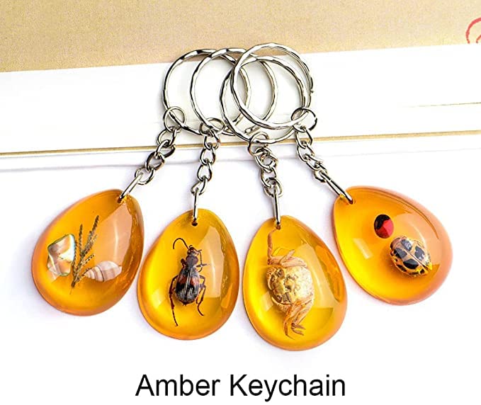 【さくらプロフ必見様】専用　　昆虫標本キーホルダー Amazon.co.jp: 6個本物の昆虫キーホルダーカブトムシ動物標本収集昆虫