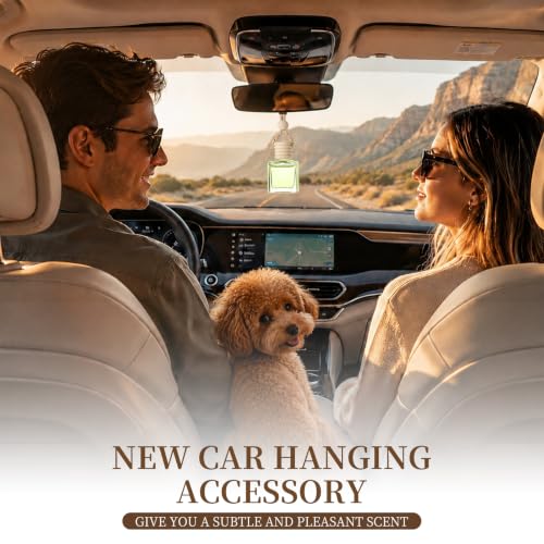 Image of 2-Pack Car Fresheners Long Lasting & Car Deodorizer - Urban Chase Hanging Car Air Freshener for Men, Car Necessities & Scent Diffuser by VUTOLLOSA