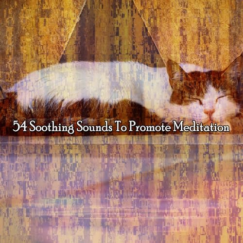 Play 54 Soothing Sounds To Promote Meditation by Sleepy Times on Amazon