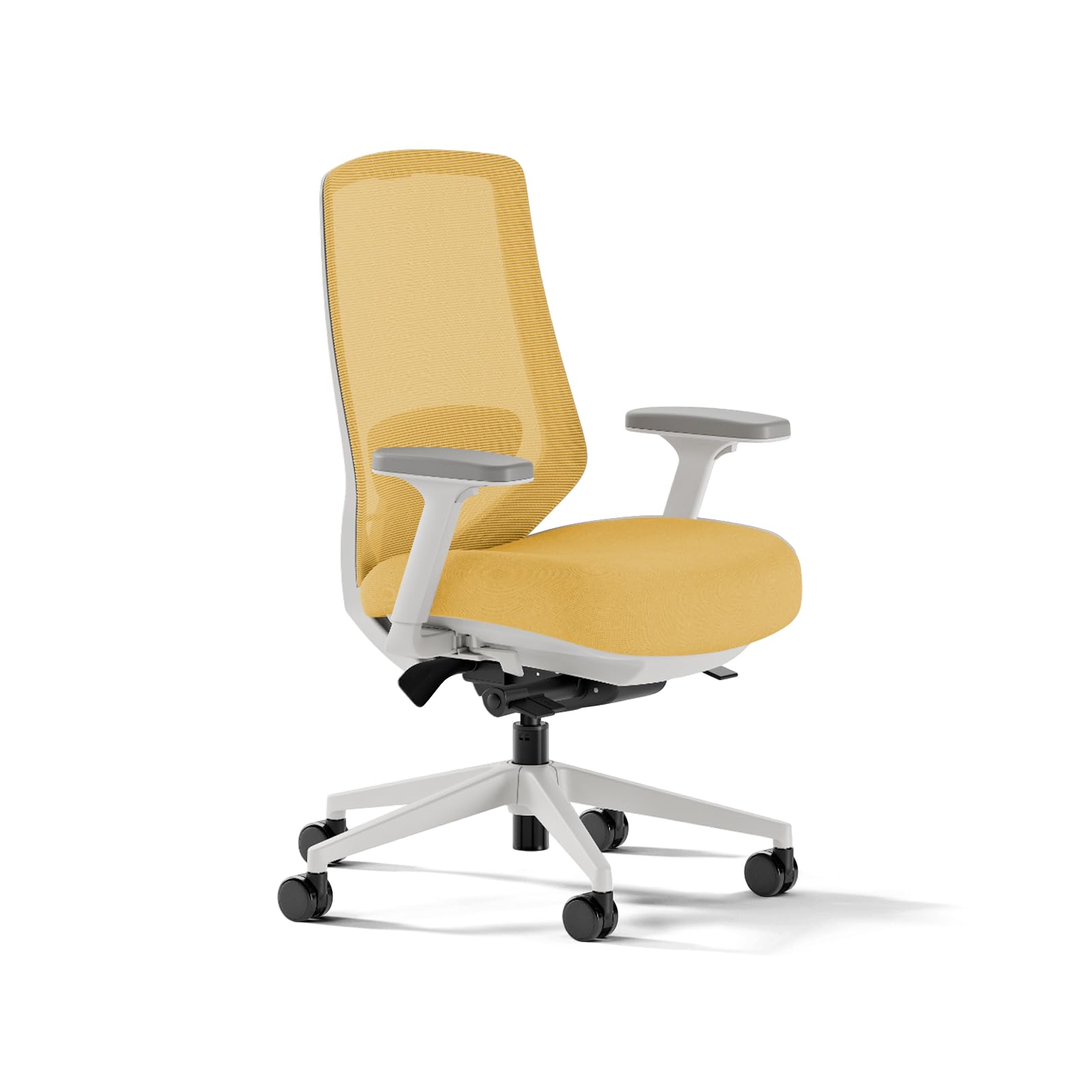 Branch Ergonomic Chair Pro Mesh Office Chair