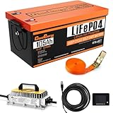 Cloudenergy 48V(51.2V) 105Ah LiFePO4 Lithium Golf Cart Battery Built-in 250A BMS,with Mobile APP,Touch Monitor and retention strap,6000+ Cycles,Perfect for Golf Carts(GFA48V-105AH With Charger)