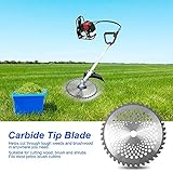 YWBL-WH B07W64YZYN lato 3