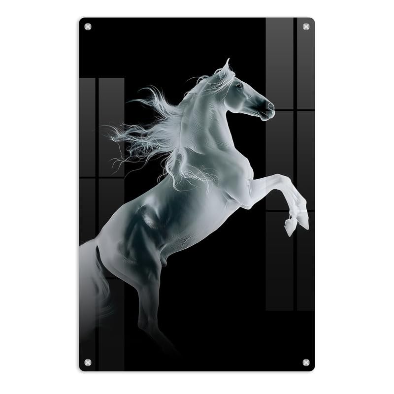 Image of FIVE KRAFT Single White Horse High-Resolution Premium Acrylic Wall Art (Size:18X12Inches 5Mm)