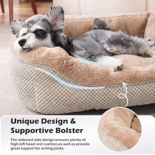 Image of Dog Bed Medium Size, Orthopedic Warming Soft Calming Sleeping Durable with Anti-Slip Bottom