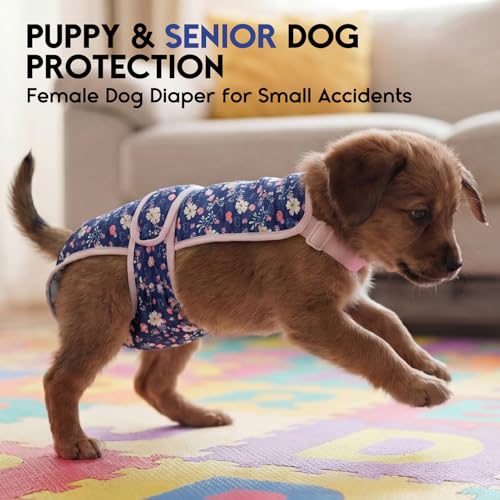 Image of ASENKU 2 Pack Female Dog Diapers with Suspenders, Reusable Washable Puppy Panties for Small Dogs, Leak-Proof Pet Underwear for Heat Cycle & Period