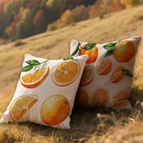 Cojines Exterior Impermeable Color Naranja Funda Cojin 60x60cm Grandes Lino Almohada Sofa Naranja 2 Piezas,Cuadrada Jardin Mueble Almohada Funda de,para Verano Decor,con Cremallera Invisible AU-420