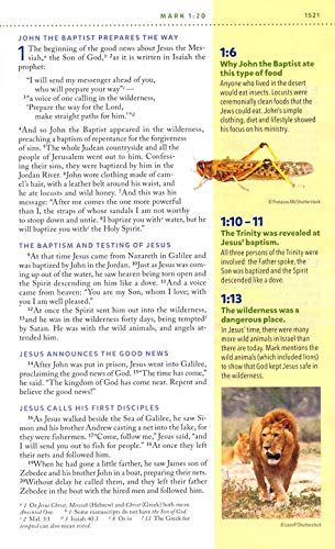 PERSONALIZED NIV Kids' Visual Study Bible - Imitation Leather - Brown - Custom Name Imprint - Image 4