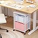 Sbanmao Letter/Legal Rolling File Cabinet, Rolling File Cart with 2 Drawers Filing Cabinet for Home Office, Hanging File Folders Organizer for Under Desk Storage, Mobile Printer Stand, White