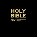 Holy Bible NIV