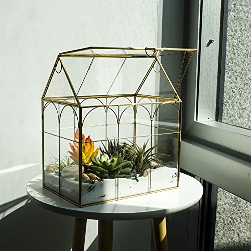 Large Tall Plant Terrarium Glass – Glass Greenhouse Terrarium With Lid,Indoor Tabletop Orchid Succulent Cacti Terrarium Kit Na (Gold A) #TOP2
