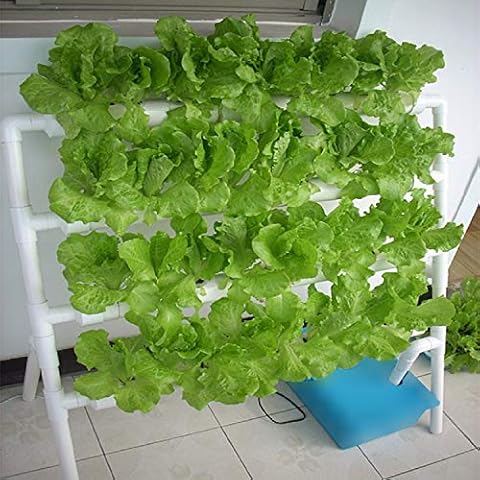 HYDDNice Hydroponic Grow Kit 4 Layers 36 Plant Sites Garden Planting System Hydroponic Growing System Water Culture Garden Plant System Garden Vegetable Planting Tool Cover