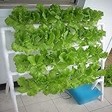 HYDDNice Hydroponic Grow Kit 4 Layers 36 Plant Sites Garden Planting System Hydroponic Growing System Water Culture Garden Plant System Garden Vegetable Planting Tool