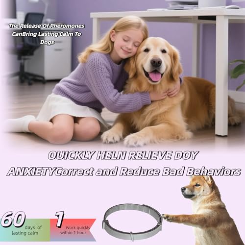 Image of Calming Collar for Dogs, Relieves Anxiety, Adjustable Design, Suitable for All Dogs with Barking, Biting, Scratching, and Insecurity (Gray, 1 Count)