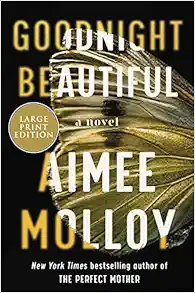 Goodnight Beautiful: A Novel book cover
