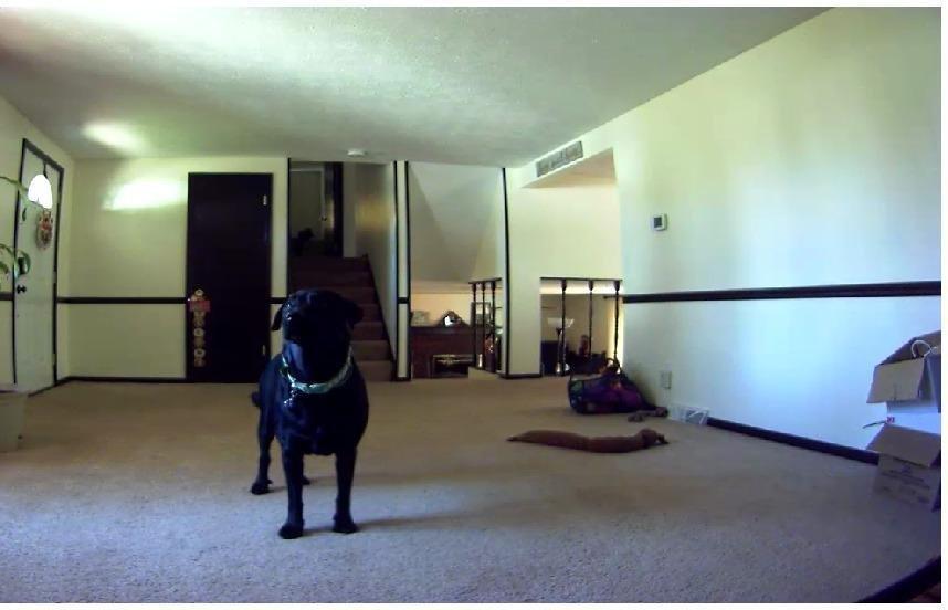 I can't decide whether to love it or hate it **update as of 12-26-2018**