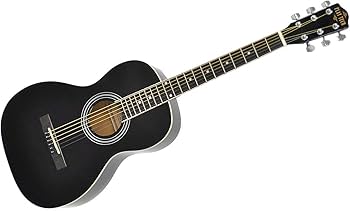 Amazon | PLAYTECH (プレイテック) アコースティックギター シングル