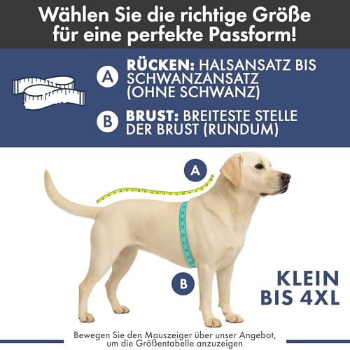 Spark Paws Weihnachtspyjama für Hunde, ultraweich und 4-Wege-Stretch, für kleine, mittelgroße und große Rassen, Lebkuchenmann, Größe M
