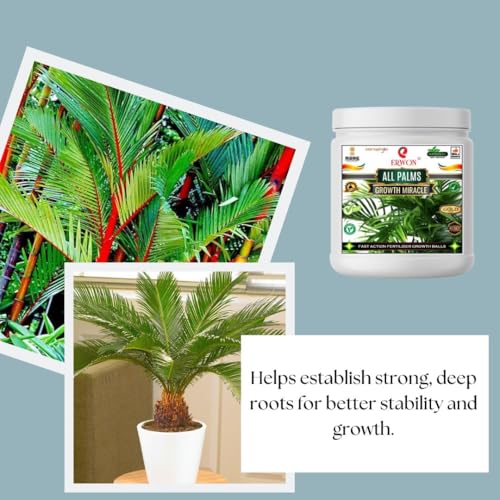 Image of Erwon All Palms GROWTH MIRACLE Fertilizer, Fast Action Organic Granules for rapid Overall Healthy Growth of all palms Plants. (900 gm)