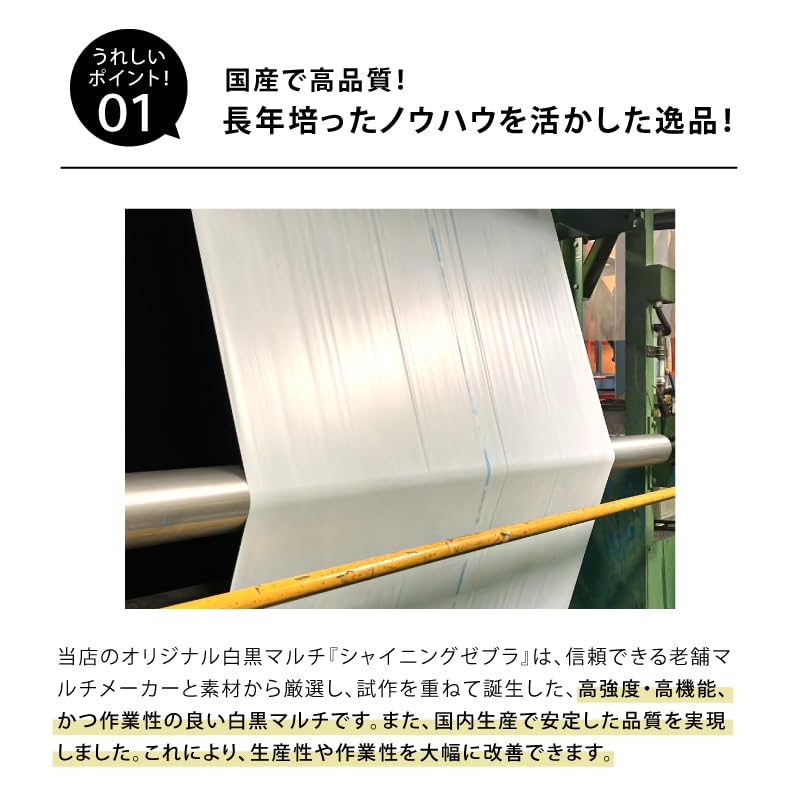 Amazon.co.jp: 白黒マルチ 幅180cm シャイニングゼブラ 国産 穴なし