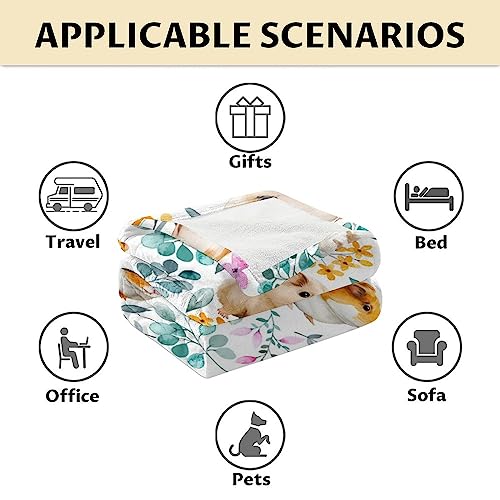 Guinea Pig Blanket Gifts - 40x50 Inches Cute Throw for Girls & Boys - White Soft Fuzzy Blankets for Bed, Couch & Living Room