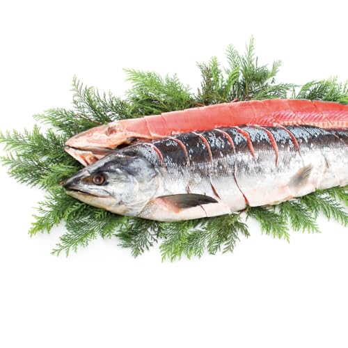 y2025 Εz Vpؐg  Mtg  CN  p v[g ؐg (n̂)