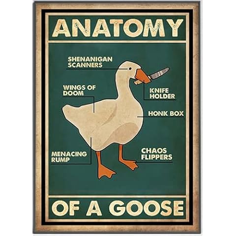 Aperiy Poster Metal Sign Goose Poster Anatomy of Goose Home Decorative Art Poster Art Poster 12x16inch Wall Sticker Metal Sign Cover