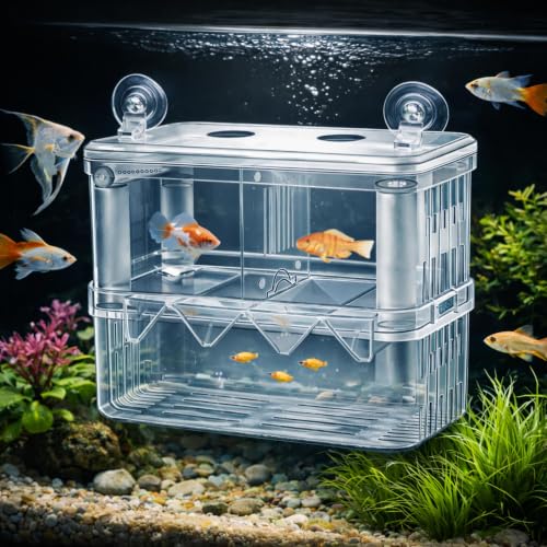 Image of Double Deck Aquarium Breeding Box Medium (14x8x14 cm) Acrylic Fish Fry Isolation Tank | Air Pump Connectable Oxygen Supply | Strong Suction Cup Breeder Box for Guppy, Molly, Betta