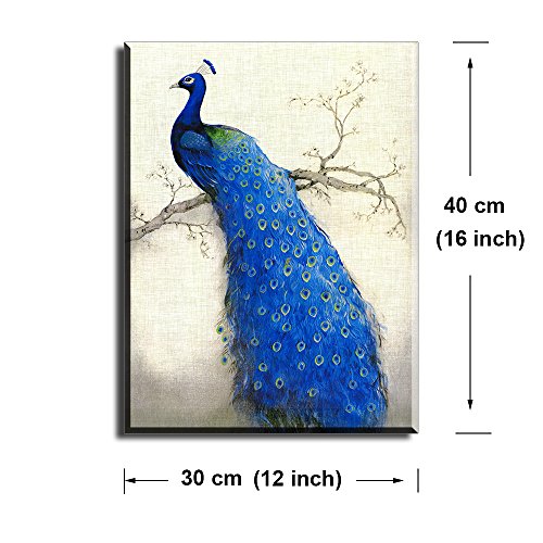 Peacock Wall Art Decor for Bedroom, PIY HD Beautiful Oil Painting Canvas Prints of Elegant Proud Peacock on Beige Pictures (1