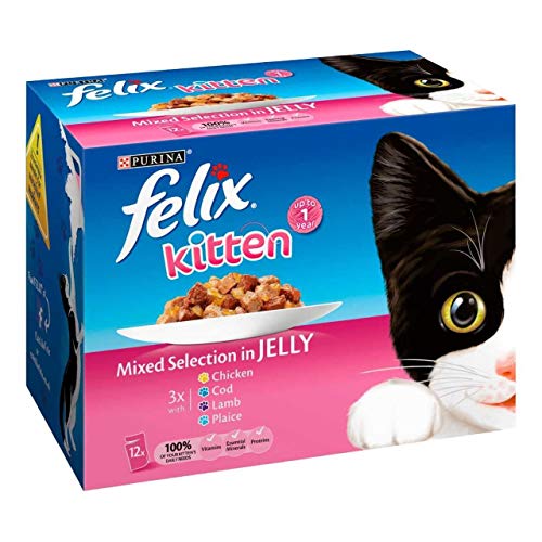 Felix Gattino selezione mista a Jelly 1 x 12 x