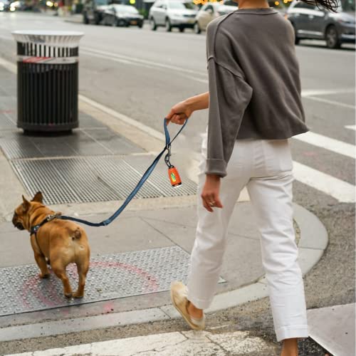 Laroo Hands Free Dog Leash With Buffer Strap, Night Safety Reflective Dog Leash Durable Zinc Alloy Buckle For Medium & Large Dogs, Anti-Drag Waistband Dog Leash For Hiking Walking Running Training #TOP7