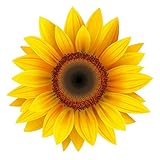 Yellow Sunflower Decal 3M USA Made Sticker CAR Truck Window Bumper Wall (6' Wide)
