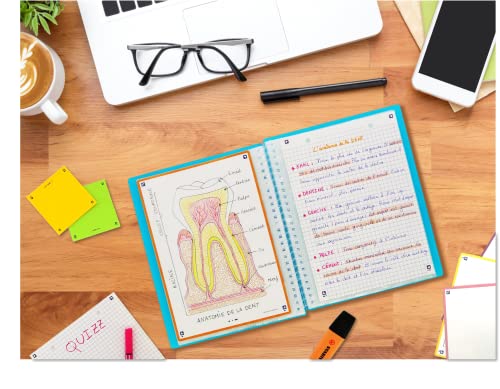OXFORD School Life Dokumentenmappe, Spiralbindung, A5, für 80 Ansichten/40 Hüllen, Polypropylen-Deckel, Anisgrün