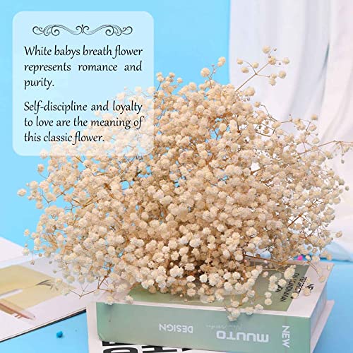 Ramo Flores Secas Babys Breath 17" Natural 2oz miniatura 4