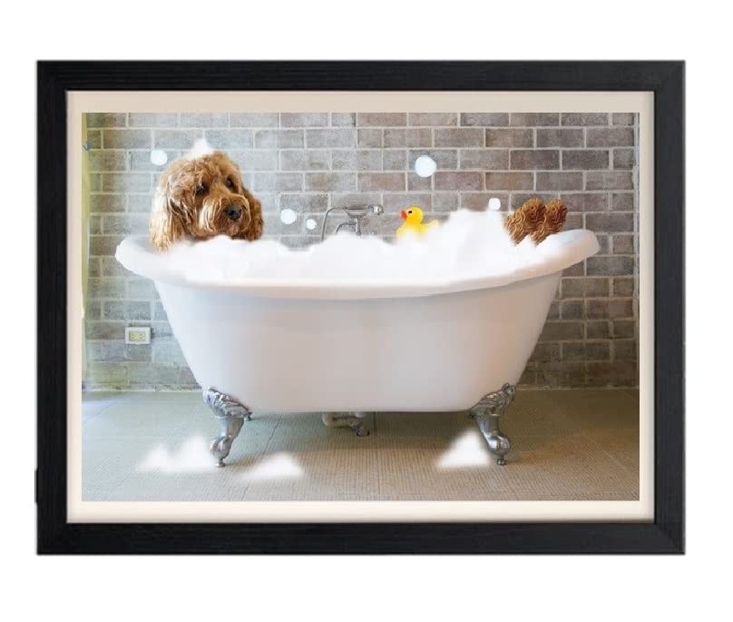 Toilettes modernes et insolites : l'affiche Cavapoo rompt la monotonie