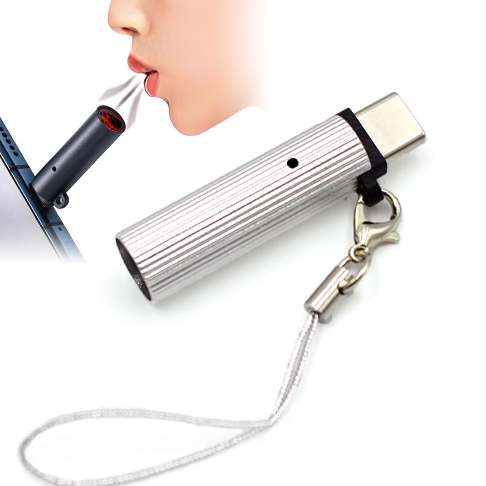 Amazon.co.jp: C-TYPE 小型 ライター スマホ Cタイプ ポート 接続式