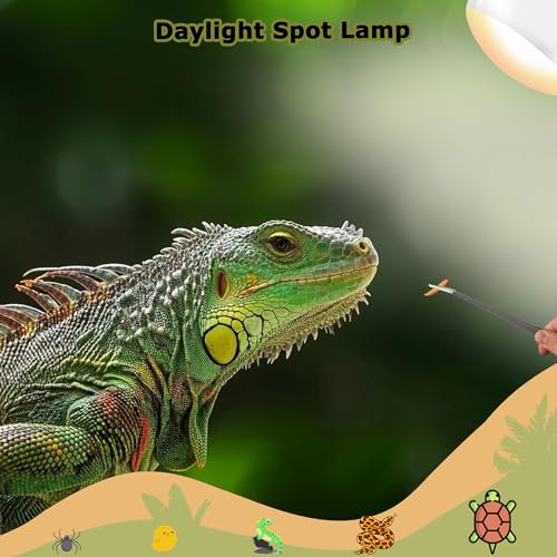 Image of 75W Reptile Heat Lamp Bulbs, 2.5 Inch UVA Amphibian Basking Spot Light for Bearded Dragon, Lizard, Tortoise & Chicks - Simulated Sunlight, Daylight Bulb for Aquariums and Tanks | 2 Pack