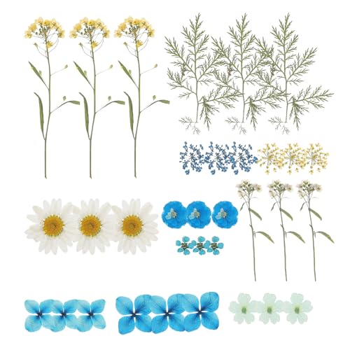 Kit de flores secas prensadas para manualidades, 33 piezas azules miniatura 1