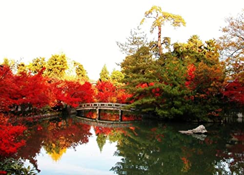 YHZSCF Seeahorn-Landschaftskarte 200 Stück Holzpuzzle Familienspiel Diy Geschenk Dekorative Gemälde Artwork Brain Challenge Wanddekoration