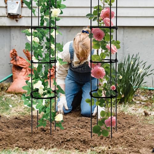 Treillis à tomates pour extérieur et potager surélevé résistant au vent