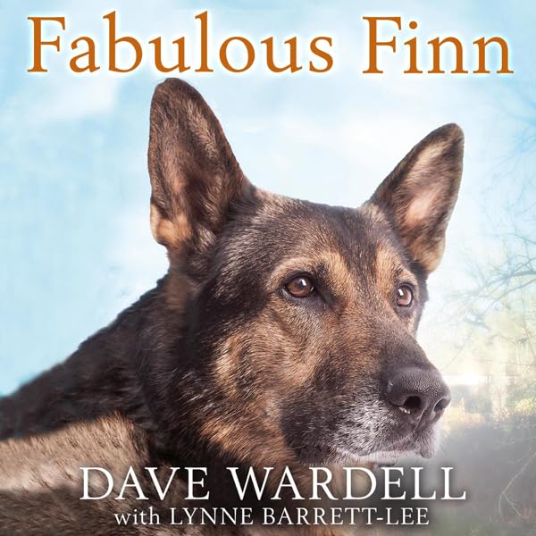 Cover art for Fabulous Finn