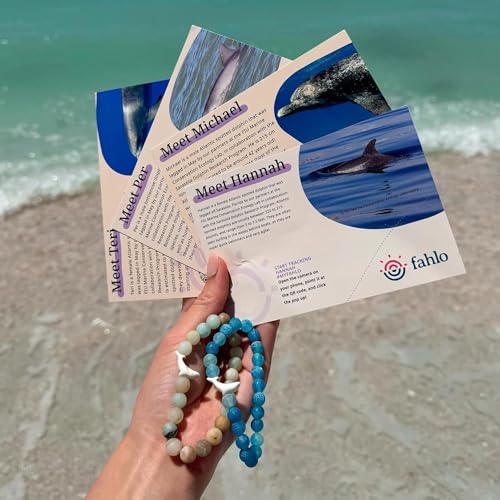 Fahlo Dolphin Tracking Bracelet, Elastic, supports FIU Marine Conservation, one size fits most for Men and Women2