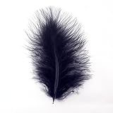 【羽】マラボー 10本 [018-Fe-02] ブラック/フェザーパーツ 羽根 羽毛 材料 素材 手芸 アクセサリー 花材 フラワーアレンジメント ハロウィン ドリームキャッチャー 仮装 ダンス 衣装 コスプレ