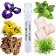 Vertus Sole Patchouli Inspired No. 66617