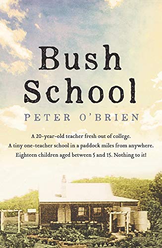Bush School view 2