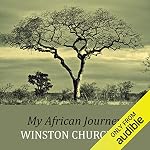 Cover of My African Journey